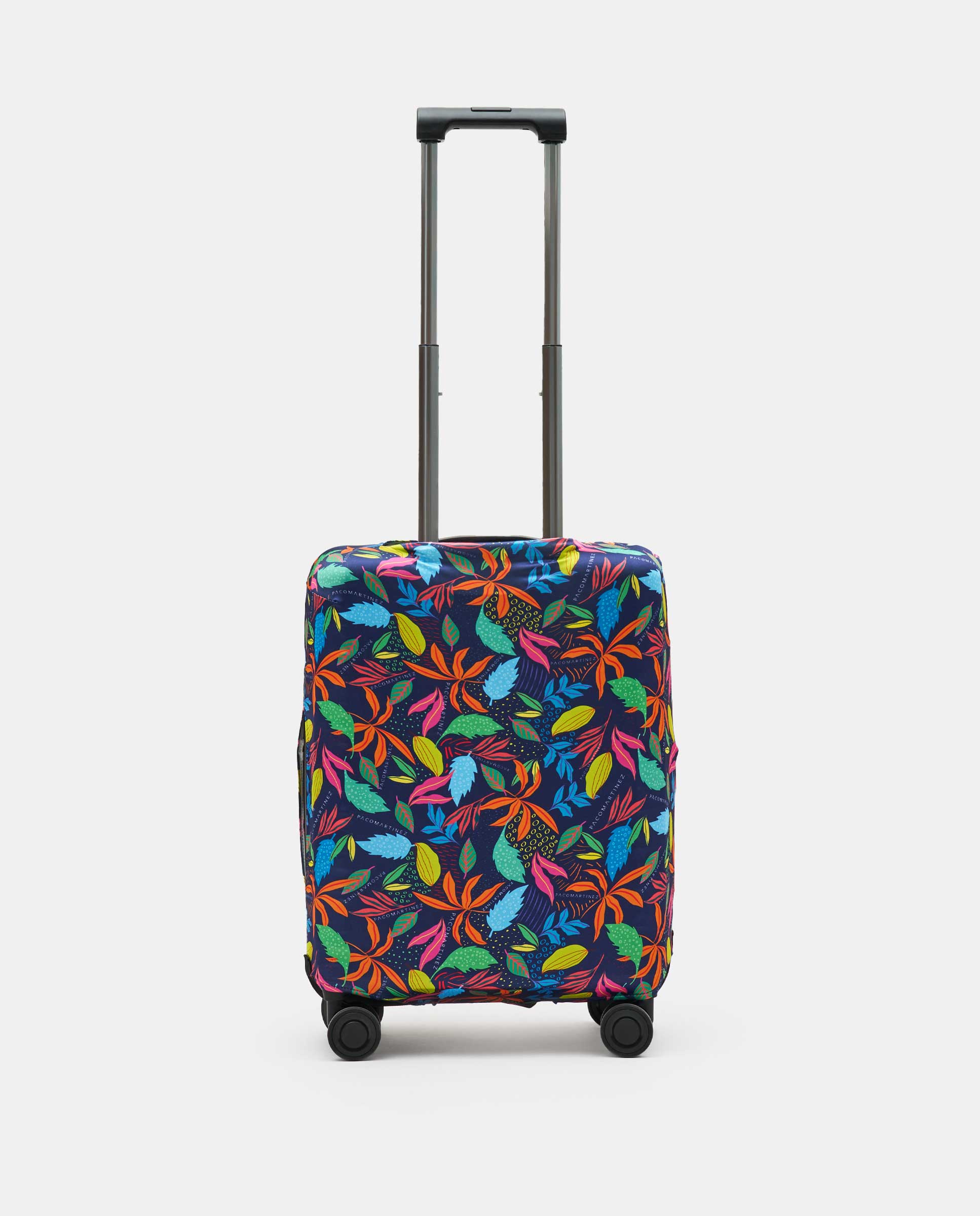misako trolley cabina